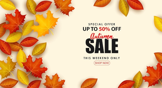 Special Autumn sale with leaves surrounding the writing.