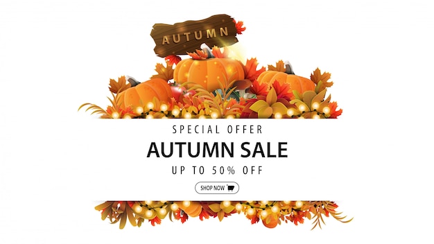 Special offer, autumn sale, up to 50% off, white discount banner with frame of autumn leaves and autumn elements.