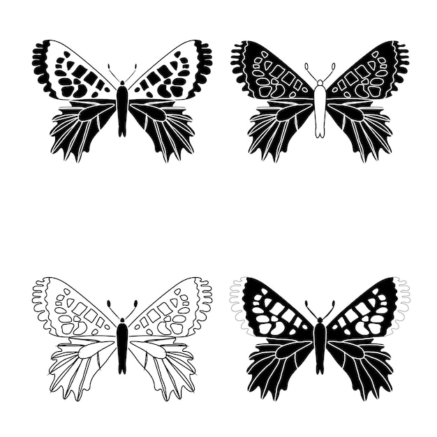 Species set black and white butterfly insects flat style