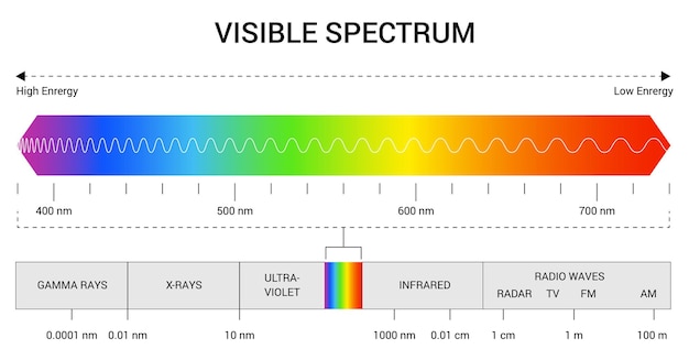 Вектор Длина волны спектра цветовой диапазон видимого спектра образовательная физика световая линия частота световой волны длины волн видимой части спектра для человеческого глаза