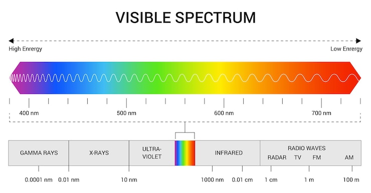 Vector spectrum wavelength visible spectrum color range educational physics light line light wave frequency wavelengths of the visible part of the spectrum for human eyes