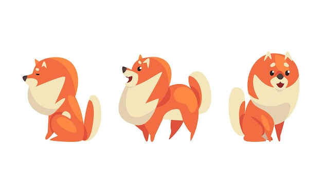 Speelse Shiba Inu of Akita Puppy als Japanse ras hond met Prick Ears Vector Set