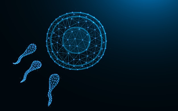 Sperm and egg made from points and lines on dark blue background, Fertilization wireframe mesh polygonal  illustration