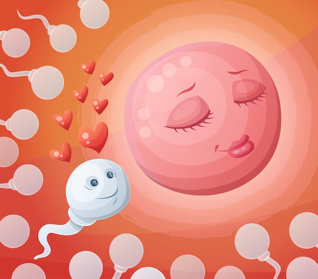 Sperm and egg in the womb cartoon vector illustration