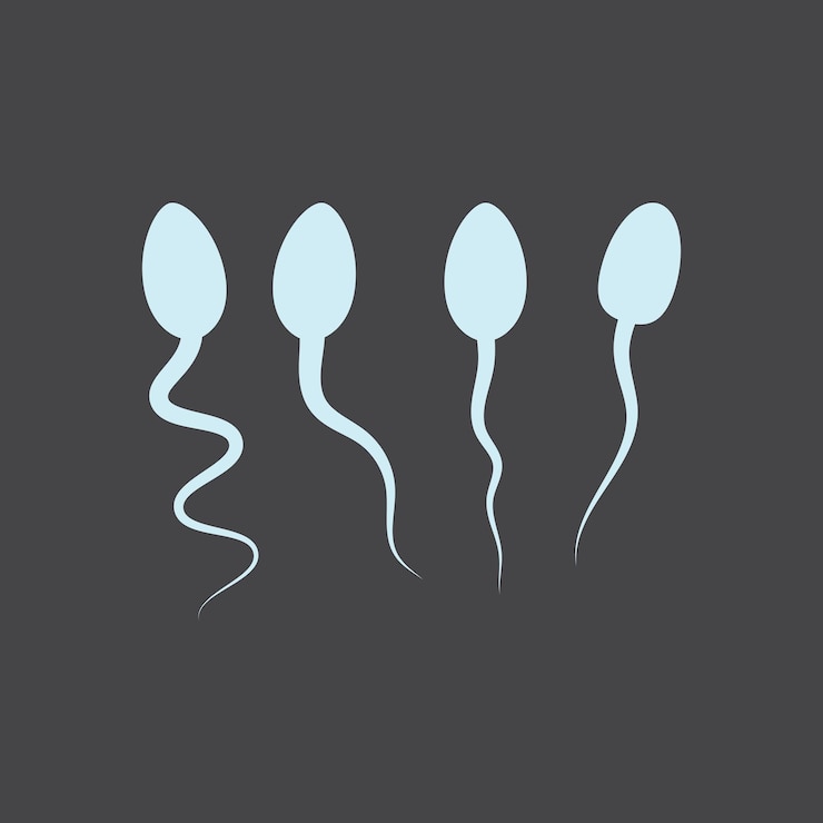 Vector sperm logo illustration