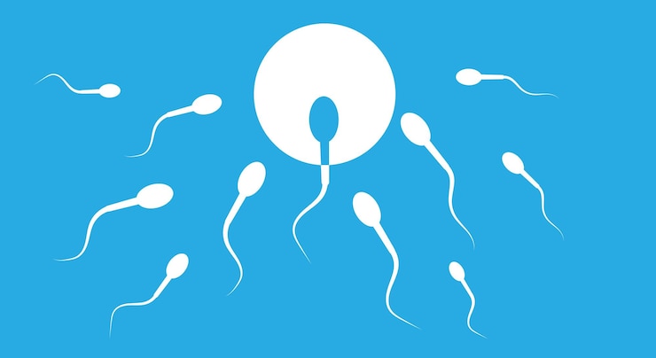 Vector the sperm rushes forward and goes straight to the target, to the egg for ovulation, against a blue background. vector illustration