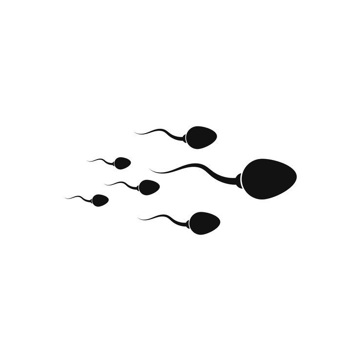 Vector sperm spermatozoa vector logo icon illustration
