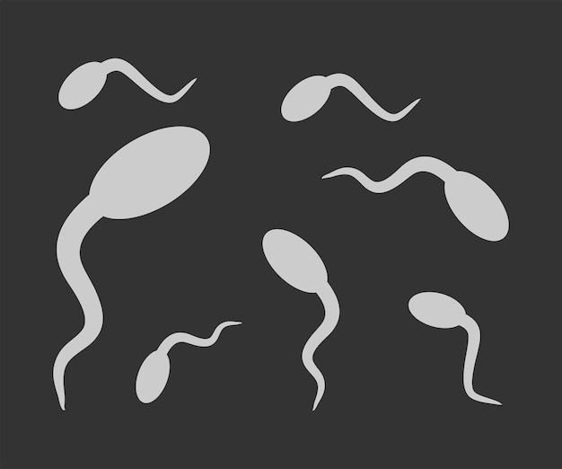 векторная иллюстрация спермы