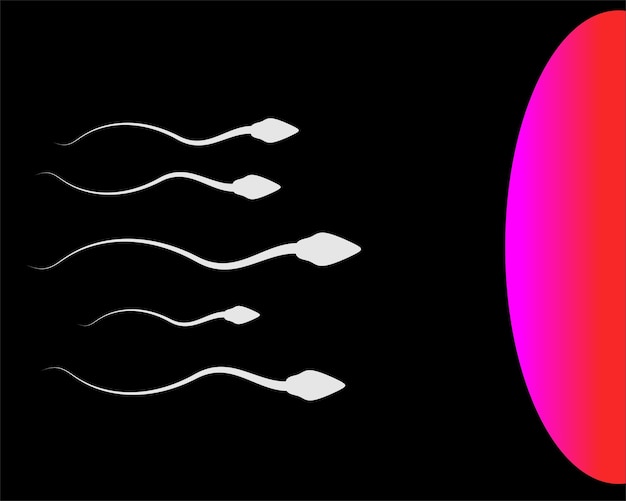 sperm vector illustration