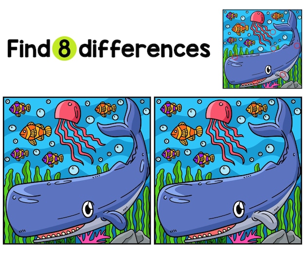 Sperm Whale Animal Find The Differences