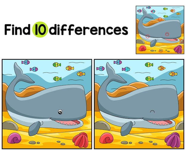 Sperm Whale Animal Find The Differences