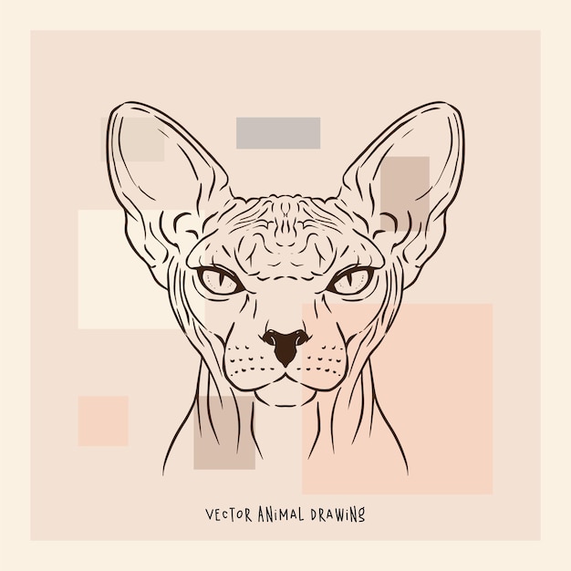 Sphynx cat animal portrait vector art drawing pastel abstract background