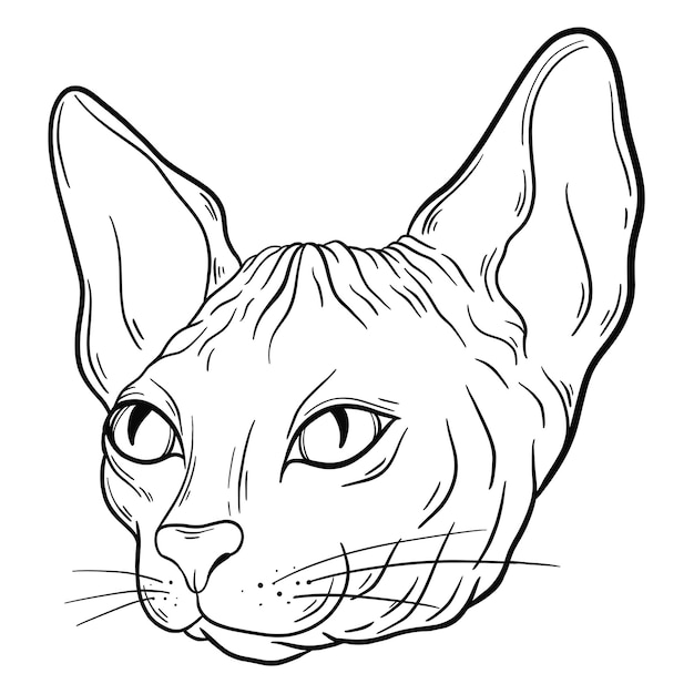 Sphynx kat dier hoofd schets gravure vector illustratie zwart-wit hand getekende afbeelding