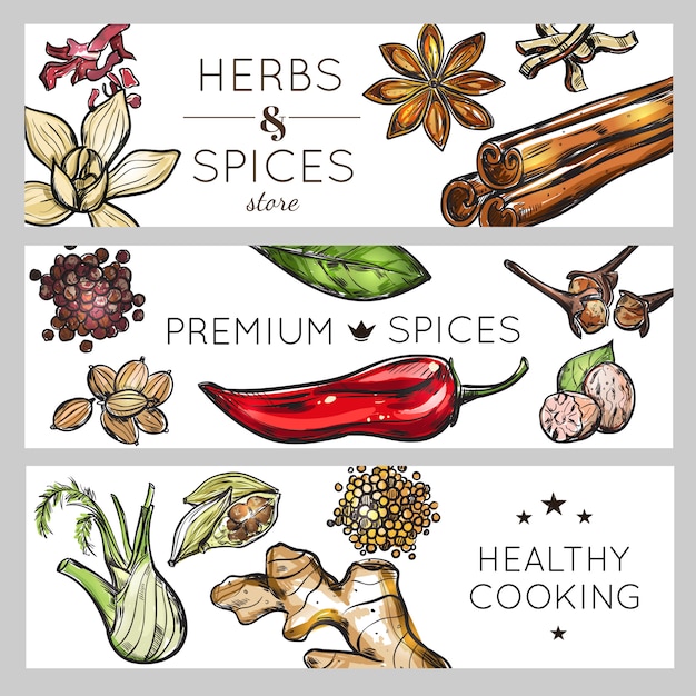 Vector spice and herb banner set