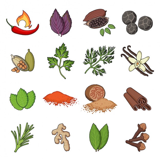 Spice cartoon ingesteld pictogram