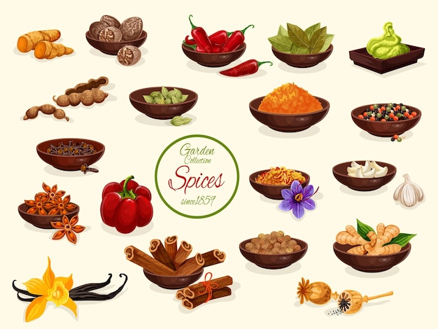 Vector spice condiment and food seasoning poster
