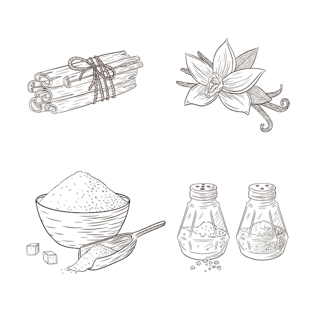 spice engraved illustrations set. collection of hand drawn sketches for logo, recipe, sticker, print, menu design and decoration