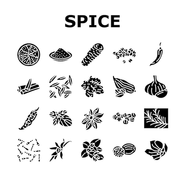 Spice food herb leaf icons set vector