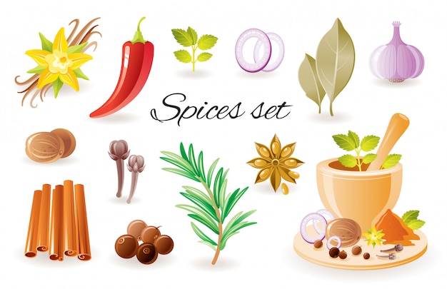 Spice kruid icon set met knoflook, kaneel, chili papper, laurier, vanille bloem, rozemarijn, munt, anijs.