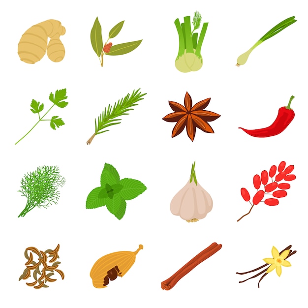 Spices craft icons set