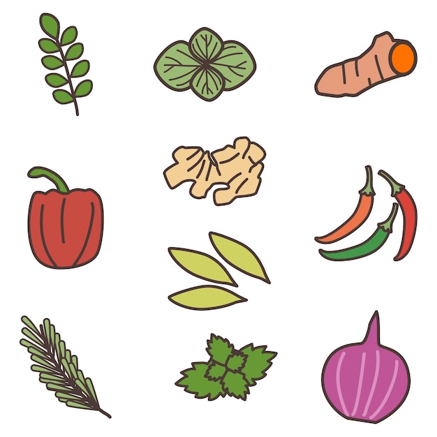 Vector spices cute flat line illustration