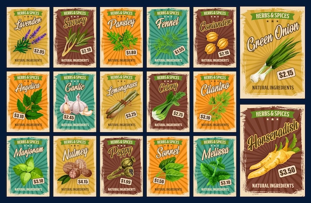 Vector spices and herb seasonings farm market price