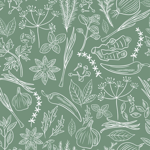 Spices herbs and herbs hand engraved seamless pattern