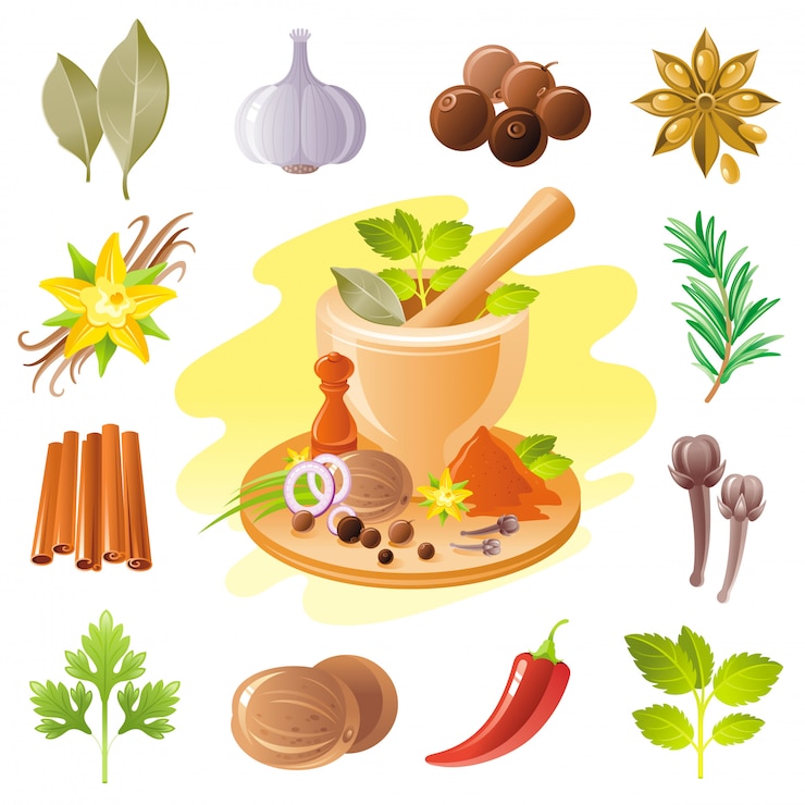 Vector 香料和草藥圖像集. 食物調味料插圖.