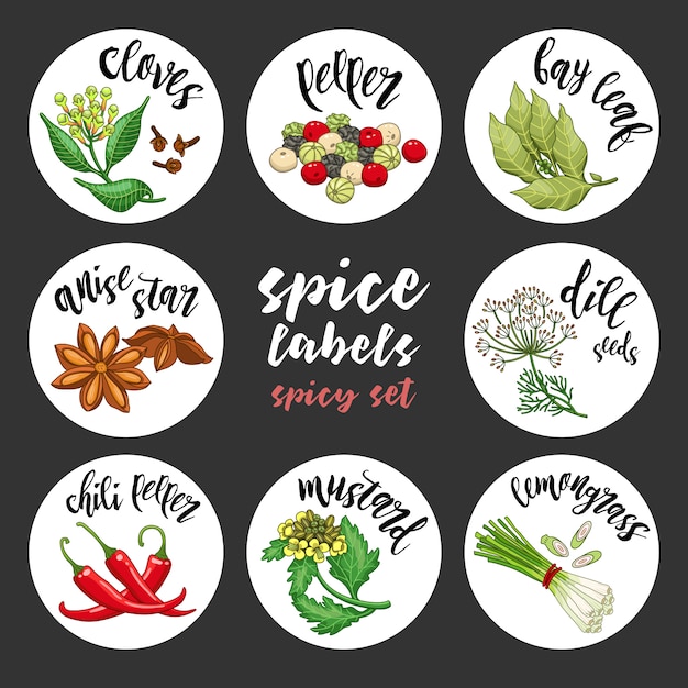 Vector spices and herbs labels. colored vector spicy set