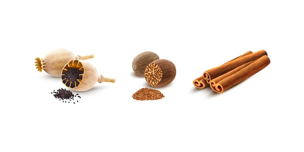 Spices and Herbs in Vintage Style 3D Vector Illustration of Aromatic Herbs and Seasonings on White