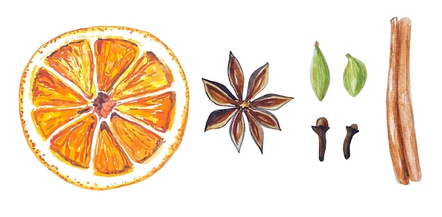 Spices for mulled hot wine collection watercolor 7 elements cinnamon anise cardamom carnation orange