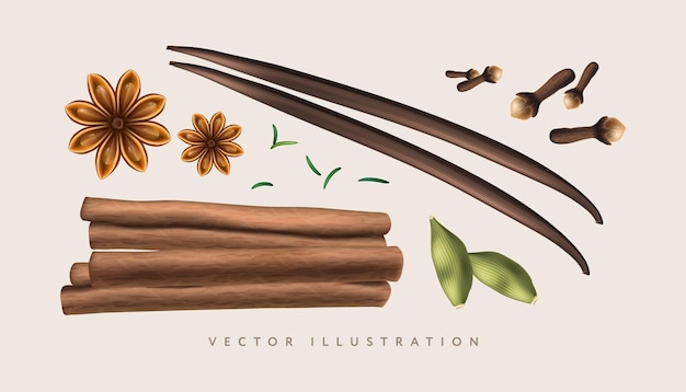 Vector spices set cinnamon cardamom clove vanilla rosemary realistic vector illustration for aromatic