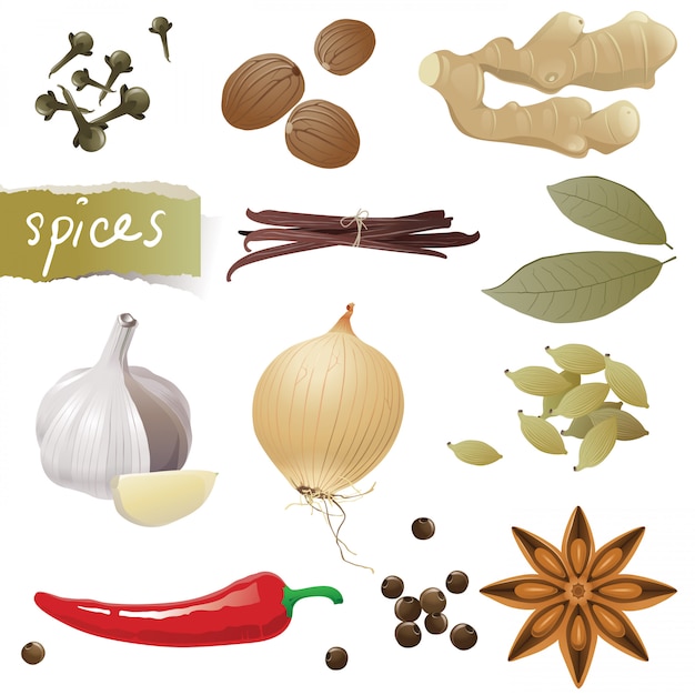 Vector spices set