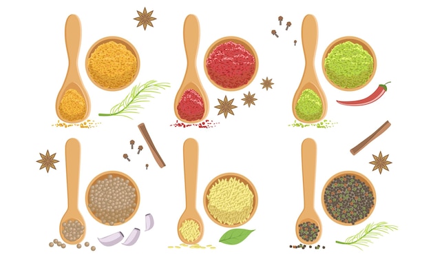 Vector spices in wooden bowl set svanuri marili turmeric paprika curcuma powder peppercorns sesame seeds vector illustration