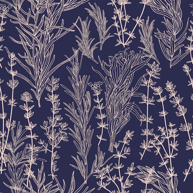 Spicy aromatic herbs seamless pattern Hand drawn rosemary thyme and tarragon branches