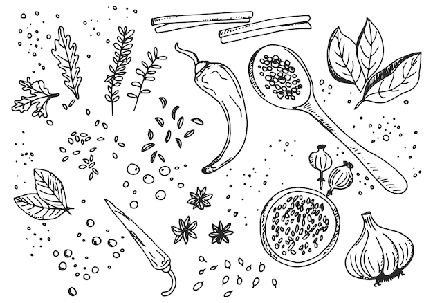 Le spezie e le erbe aromatiche hanno impostato i semi di pepe e cannella sullo sfondo