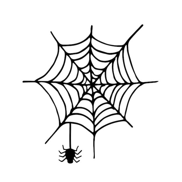 白い背景に分離されたクモとクモの巣落書きベクトル図