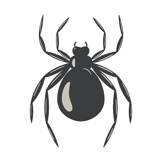 Spider black silhouette