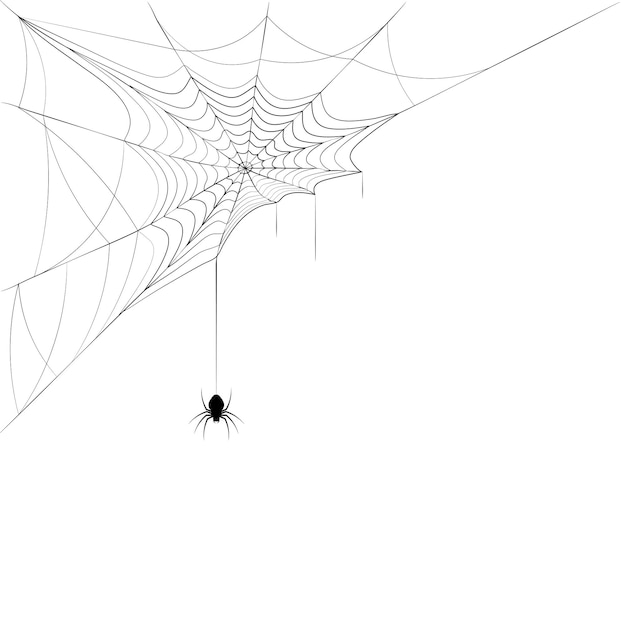 Spider on corner web Design element for Halloween Black and white vector