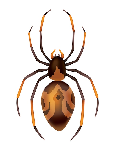 Vettore simbolo di insetto selvaggio pericoloso spider elemento di design spaventoso e spaventoso utilizzato per la stampa di disegni di banner o modelli di stampa icona di vista dall'alto disegnata a mano isolata su sfondo bianco