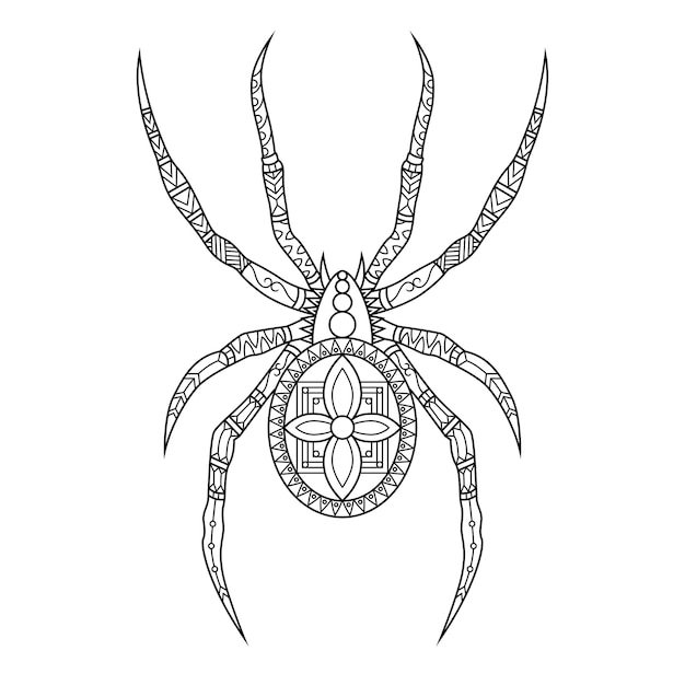 Spider drawn in doodle style