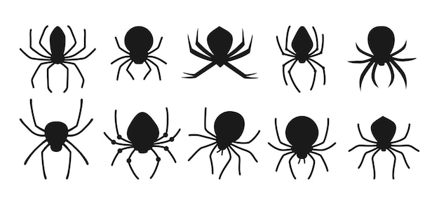 spider halloween black silhouette set spooky scary spiders dangerous tarantula creepy decoration