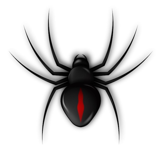 Spider icon for Halloween web banner decoration Dangerous poisonous insects Disease carriers Ruthless hunter Realistic vector