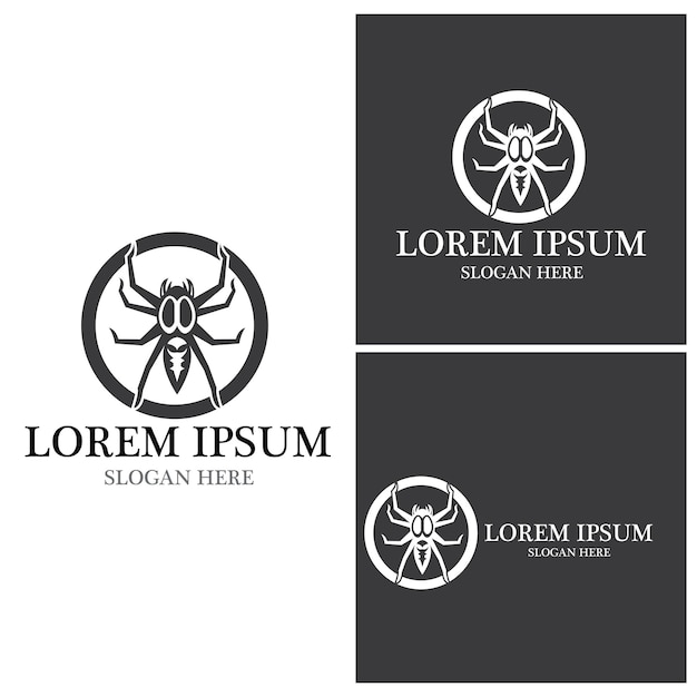 Spider icon and symbol vector template