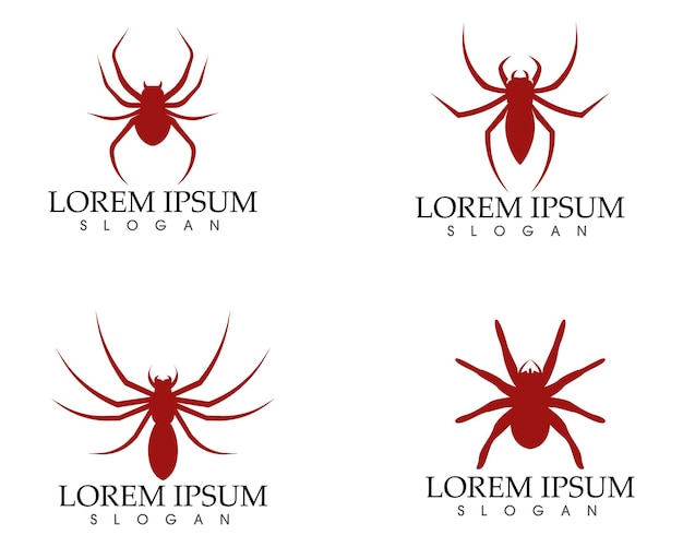 Spider logo vector  and symbol