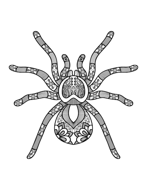 Spider mandala coloring pages for adults and kids coloring book