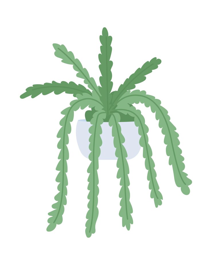Vector spider plant semi flat color vector object