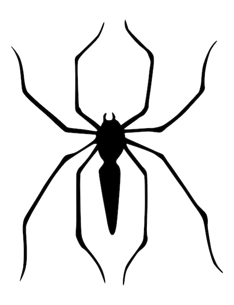 Spider silhouet Zwarte close-up insect eng grote spin geïsoleerd op wit Giftige gevaarlijke dieren Creepy wildlife bug