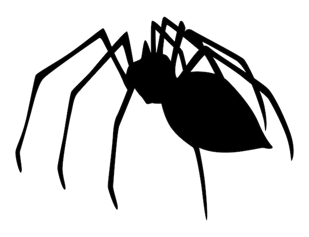 Spider silhouette Black closeup insect scary big spider isolated on white Poisonous dangerous animal Creepy wildlife bug