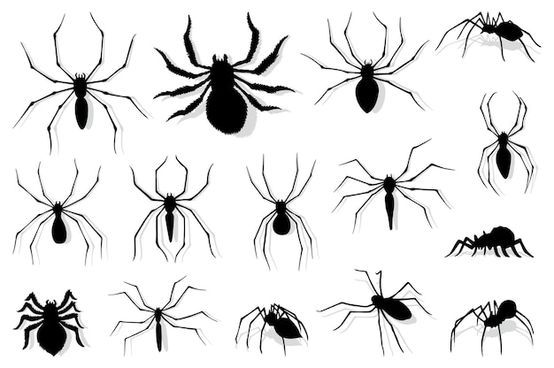 Коллекция силуэтов пауков Черный крупный план насекомых страшный большой паук изолированный на белом ядовитом опасном животном жуткий жук дикой природы